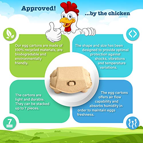 Paper Egg Cartons 20 Pcs Set 12 and 6 Count Reusable Egg Cartons For