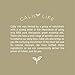 Calily Life Organic Caffeine Hair Growth and Anti Hair Loss Shampoo, 17 Oz. – For Men & Women - Infused with Argan Oil, Vitamins B5, B7 and more - Strengthens, Thickens & Protects [ENHANCED]