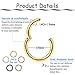 FINREZIO 10Pcs 14G Stainless Steel Nose Rings Hoop Lip Nipple Piercing Jewelry Sleeper Earrings Tragus Cartilage Earrings 8mm-10mm (10mm Inner Diameter)