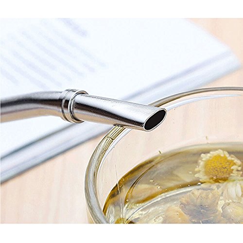TXIN 2 Pack Stainless Steel Drinking Spoon Straws Yerba Mate Bombilla Gourd Drinking Filter Straws Stirrer with 2Pcs Cleaning Brush
