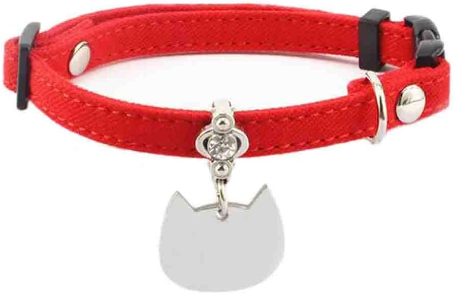 cat name tag collar