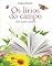 Livro Os lírios do campo.: 150 contos cristãos