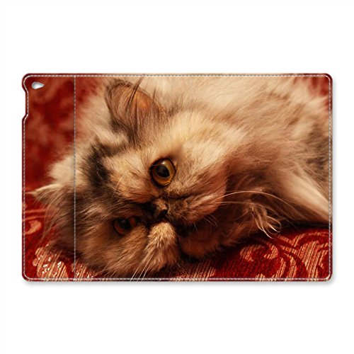 iPad Air 2 Case - Persian Cat 2 Folio Case Stand Case Smart Cover with [ Auto Wake Up / Sleep Function ] for iPad Air 2 Leather