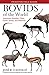 Bovids of the World: Antelopes, Gazelles, Cattle, Goats, Sheep, and Relatives (Princeton Field Guides)