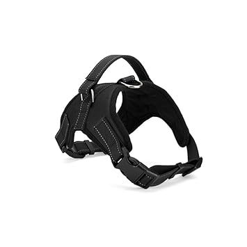 Healifty Oxford Cloth Dog Harness Adjustable Pet Harness Outdoor Pet Vest for Medium Large Dog- Size XL (Black)
