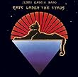 Cats Under the Stars