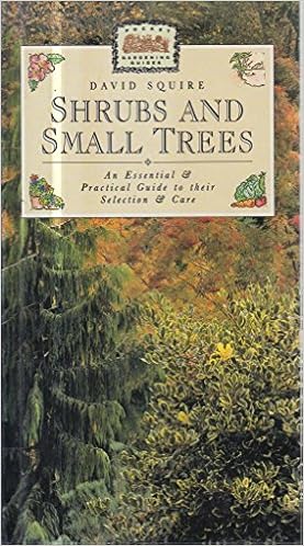 Shrubs And Small Trees An Essential And Practical Guide To - 