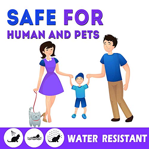 KEXMY Cat Tick and Flea Collar - Cat Flea Treatment - 8 Months Flea Control and Protection for Cats - Adjustable & Waterproof Cat Collar - 100% Natural Essential Oils That Kill and Repel Fleas - Thumbnail 5