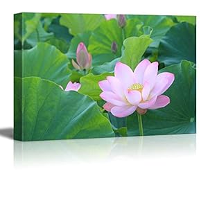 Canvas Prints Wall Art - Blooming Lotus Flower Surrounded by Lotus Leaves | Modern Wall Decor/Home Decoration Stretched Gallery Canvas Wrap Giclee Print. Ready to Hang - 12" x 18"