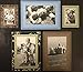 MCS Magnetic Frame Set, 5 Piece