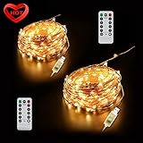 Ylife 2 Pack Fairy Light, 8 Modes String Lights Waterproof, 16.4Ft 50 LED Mini Lights, USB Interface Remote Control, Decorative Copper Wire Mini Lights for Festival Party