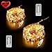 Ylife 2 Pack Fairy Light, 8 Modes String Lights Waterproof, 16.4Ft 50 LED Mini Lights, USB Interface Remote Control, Decorative Copper Wire Mini Lights for Festival Party