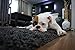 Flea Tick Collar - LARGE DOG - ProGuard Plus II (safe pet protection from pest bites infestations larvae lice mosquitoes)