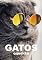 Livro Gatos: os melhores guias visuais
