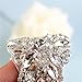 Crystal Rhinestone Appliques for Wedding Gown Bridal Belts Sashes Prom Evening (silver1)