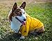 Ellie Dog Wear Yellow Zip Up Dog Raincoat with Reflective Buttons, Pockets, Rain/Water Resistant, Adjustable Drawstring, Removable Hoodie - Extra Small to Extra Large - Stylish Dog Raincoats (L)