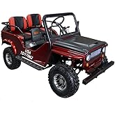 HHH Adults and Youth VITACCI GR2-125cc Go Kart with 3-Speed Semi-Automatic with Reverse and Big 18 inch Aluminium Rim Wheels RPS TK125JP (Red) - Extra Large
