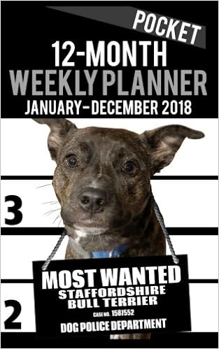 wanted staffordshire bull terrier