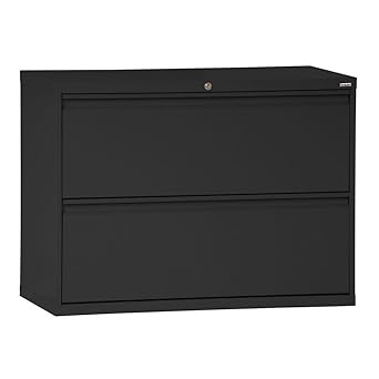 Amazon Com Sandusky Lee Lf8f362 09 800 Series 2 Drawer Lateral