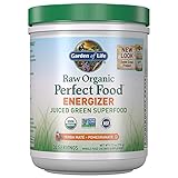 Garden of Life Raw Organic Perfect Food Energizer 9.8oz (279g) Powder