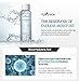 ISNTREE Hyaluronic Acid Facial Toner 250ml (200ml + 50ml) Deep Moisturizing, Soothing, Nourishing