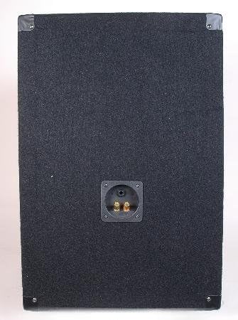 custom pa speakers