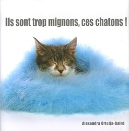 Ils sont trop mignons, ces chatons !