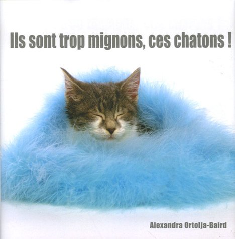 Ils sont trop mignons, ces chatons !