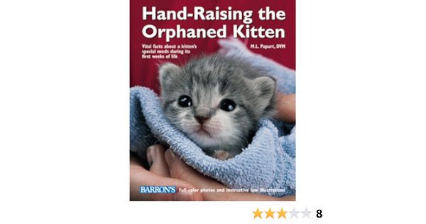raising an orphaned kitten