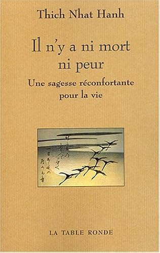 Download Il n'y a ni mort ni peur: Une sagesse réconfortante pour la vie PDF