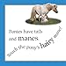 Little Ponies (Feels Real Books)
