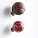 Wallniture Sporta Wall Mount Sports Ball Holder Display Storage Steel Black Set of 2