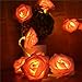 INST 10 LED Pink Rose Flower Fairy Lights