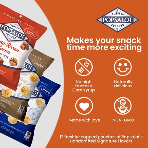 Popsalot Gourmet Popcorn OvenBaked Ready to Eat Flavored