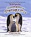 Emperor Penguin (Life Cycle of A...(Paperback)) by 