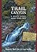 Trail Canyon: 6 Miles Long, 10,000 Years Deep (Volume 1) by