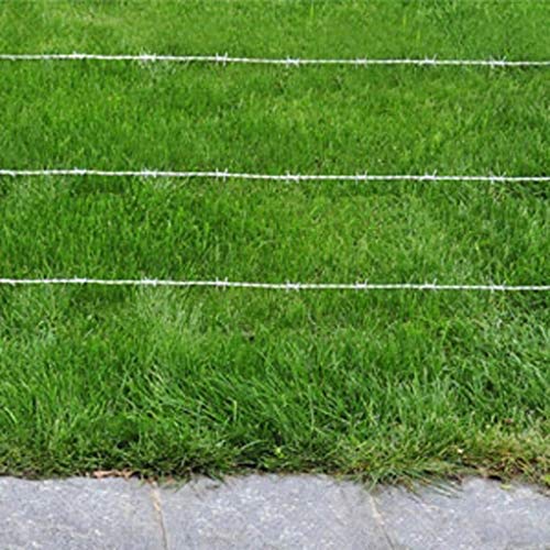 Unfade Memory Wire Galvanized Barbed Wire Razor Ribbon Barbed Wire - Thumbnail 3