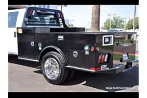 BEICO 2005-2017 Ford F450-f550 Hubcaps 19.5" 10 Lug Wheel Simulators