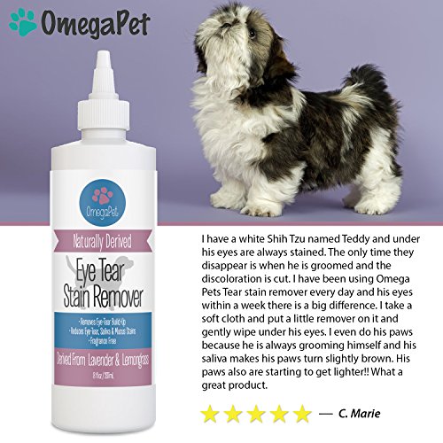 10 Best Dog Eye Tear Stain Remover for White Dogs