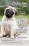Chicken Soup for the Soul: The Dog Really Did That?: 101 Stories of Miracles, Mischief and Magical M Chicken Soup for the Soul: The Dog Really Did That?: 101 Stories of Miracles, Mischief and Magical M