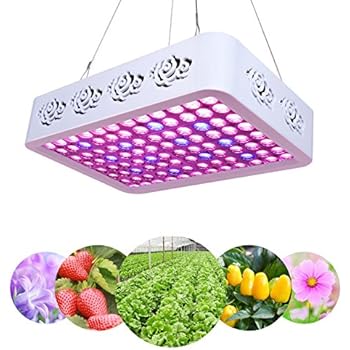 Plant LED Grow Light Full Spectrum 300W, Reflector LED Grow Lamp with Heatproof Casing, for Greenhouse Hydroponic Indoor Plant Growth by Lightimetunnel