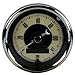 Auto Meter 1100 Cruiser AD Fuel/Oil/Speedo/Volt/Water 5 Gauge Kit