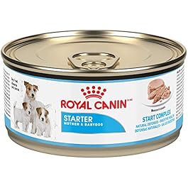 Royal Canin Size Health Nutrition Starter Mother and Babydog Canned Dog Food