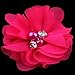 QandSweet Girls' Hair Clips with Jeweled Flower Ms Brooch for Toddler Girl Teens Womens (18-pairs/36pcs)
