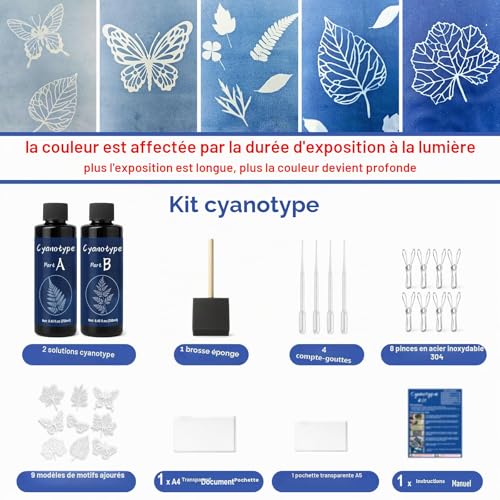 EIGTWEN 250ml cyanotype kit includes 2 components for cyanotype solution sensitizing for photo projects on paper and fabric, solar printing kit for DIY projects