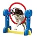 Agility Hoop - Dog play & exercise toy