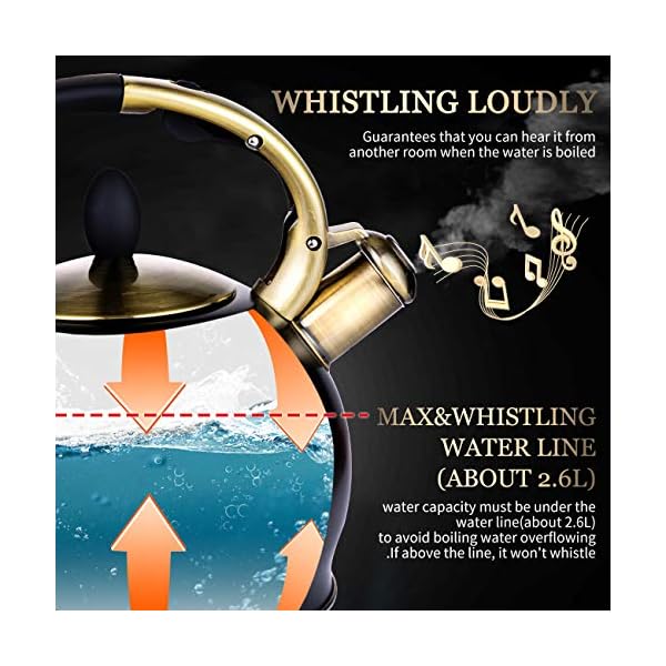 SUSTEAS Stove Top Whistling Tea KettleSurgical Stainless Steel