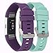 AIWELL For Fitbit Charge 2 Bands,Classic Replacement Band Accessories Adjustable Strap For Fitbit Charge2 Wristbands Large Small (Purple+Green, One Size 6.0