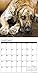 Just Great Danes 2017 Wall Calendar (Dog Breed Calendars)