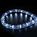 WYZworks 288LEDs, 25ft LED 3/8” Cool White Rope Light, Connectable Outdoor Permanent Waterproof Accent Exterior Lighting, Flexible Clear PVC, ETL Certified, Holiday, Backyard Patio, Home, Decor